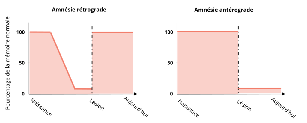 Deux graphiques sont présentés à gauche et à droite de la figure. L’axe des ordonnées (vertical) présente le pourcentage de la mémoire normale, gradué de 0 à 100 en passant par 50. L’axe des abscisses (horizontal) indique le temps, depuis la naissance jusqu’à “aujourd’hui”, en passant par le moment de la lésion. Une barre verticale en pointillés coupe chaque graphique au niveau du moment de la lésion. Le graphique de gauche a pour titre “Amnésie rétrograde”. Le trait qui représente le pourcentage de la mémoire normale commence à 100% au moment de la naissance puis décroît régulièrement pour arriver à une valeur d’environ 8% qui stagne jusqu’au trait de la lésion. Après la lésion, le trait est continu à la valeur de 100%. Le graphique de droite a pour titre “Amnésie antérograde”. Avant la lésion, le trait est continu à la valeur de 100%. Après la lésion, il est continu à une valeur d’environ 8%.